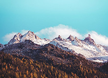 湖媒感慨：雷迪什当初曾在训练中1V1单挑爆了湖人全队